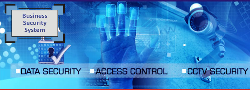 Business Security & Technology Services